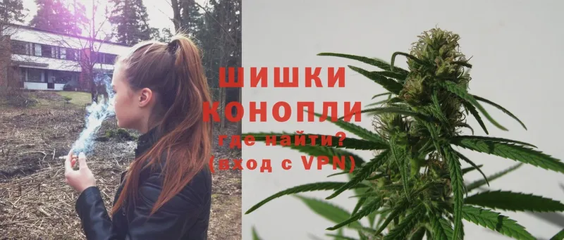 Бошки марихуана Ganja  купить  цена  Арамиль 